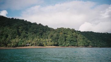 Pacífico colombiano . Rafael Camargo Vásquez Económicas  En un paso decisivo para saldar las deudas históricas con el occidente del país, el Gobierno Nacional ha dado luz verde al CONPES [&hellip;]