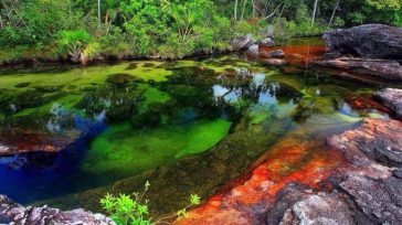 «Colombia, el país de la belleza» se consolida como la marca que busca proyectar la riqueza natural y cultural del territorio ante el mundo. Esta narrativa institucional busca atraer la [&hellip;]