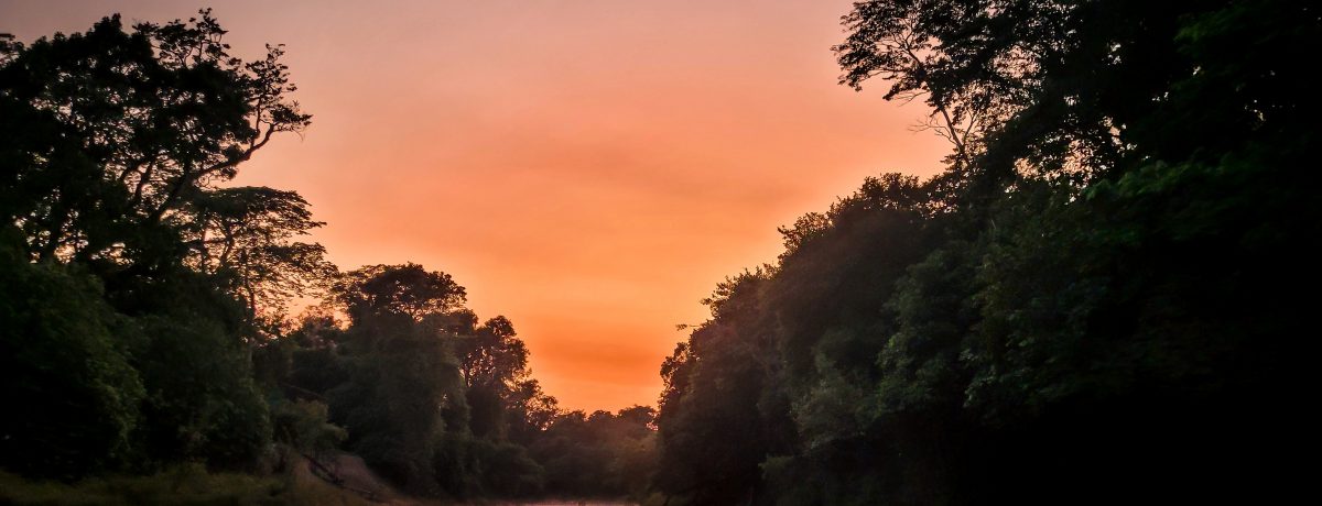 El amanecer en el Parque Nacional Madidi tiñe de tonos anaranjados y cálidos el horizonte sobre el río, mientras la densa selva amazónica despierta en silencio. Esta reserva boliviana destaca [&hellip;]