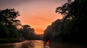 El amanecer en el Parque Nacional Madidi tiñe de tonos anaranjados y cálidos el horizonte sobre el río, mientras la densa selva amazónica despierta en silencio. Esta reserva boliviana destaca [&hellip;]