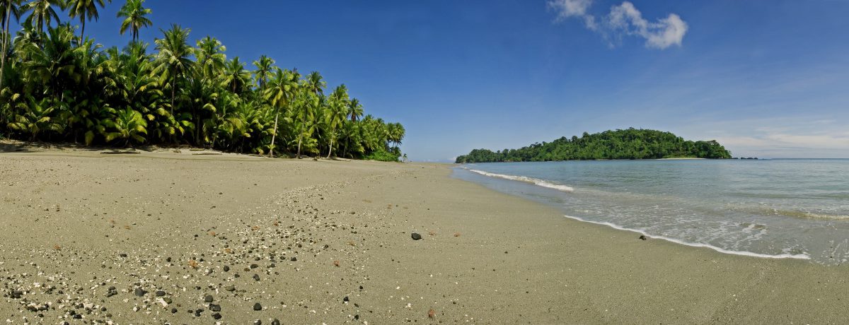 Isla Gorgona del departamento del Cauca  se posiciona como un laboratorio interplanetario. &nbsp; Andrés Hurtado Gallardo Isla Gorgona- Cauca A escasos treinta kilómetros de la costa del Pacífico colombiano, la [&hellip;]