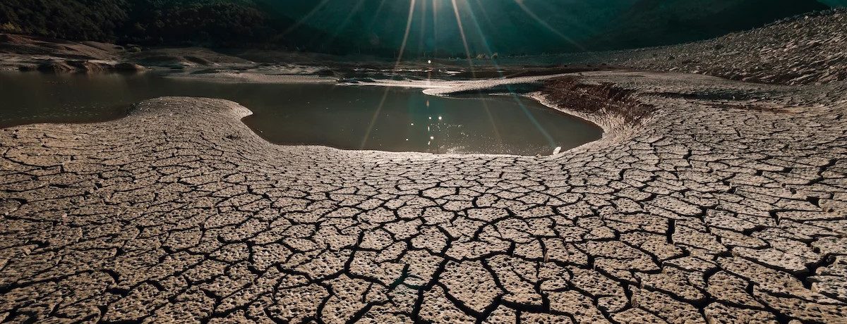 Las anomalías térmicas y el calentamiento de los océanos por gases de efecto invernadero han dejado de ser estacionales para volverse una constante estructural. Esta crisis altera drásticamente la dinámica [&hellip;]