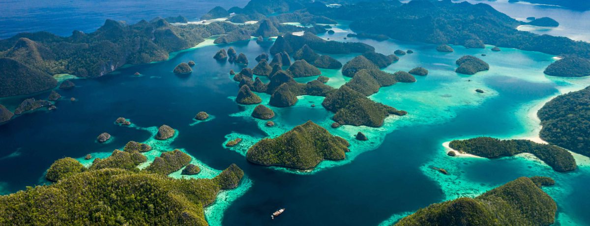 El Triángulo de Coral, Raja Ampat es considerado el último edén de la biodiversidad marina. Es un archipiélago compuesto por miles de pequeñas islas de roca caliza cubiertas de densa [&hellip;]