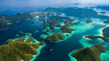 El Triángulo de Coral, Raja Ampat es considerado el último edén de la biodiversidad marina. Es un archipiélago compuesto por miles de pequeñas islas de roca caliza cubiertas de densa [&hellip;]