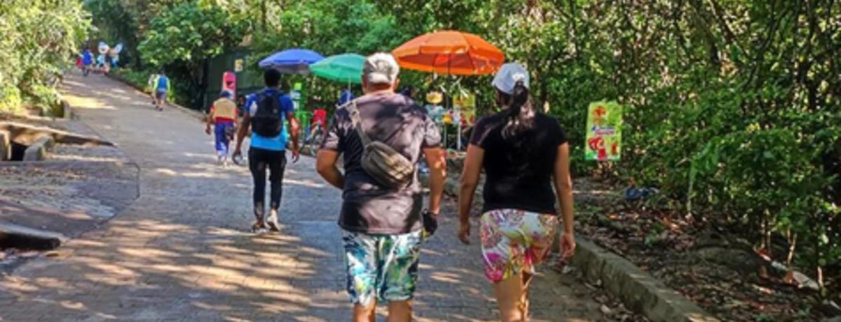 Caminar 30 minutos al día a ritmo moderado es el pilar de la medicina preventiva actual. Su práctica diaria no solo previene, sino que alivia y revierte los síntomas de [&hellip;]