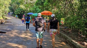 Caminar 30 minutos al día a ritmo moderado es el pilar de la medicina preventiva actual. Su práctica diaria no solo previene, sino que alivia y revierte los síntomas de [&hellip;]