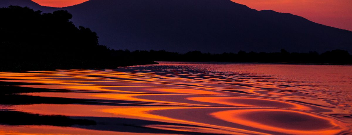 El Pantanal es el humedal más grande del mundo, una llanura de hasta 200.000 $km^2$ compartida por Brasil, Bolivia y Paraguay que se inunda hasta el 80%. Declarado Patrimonio de [&hellip;]