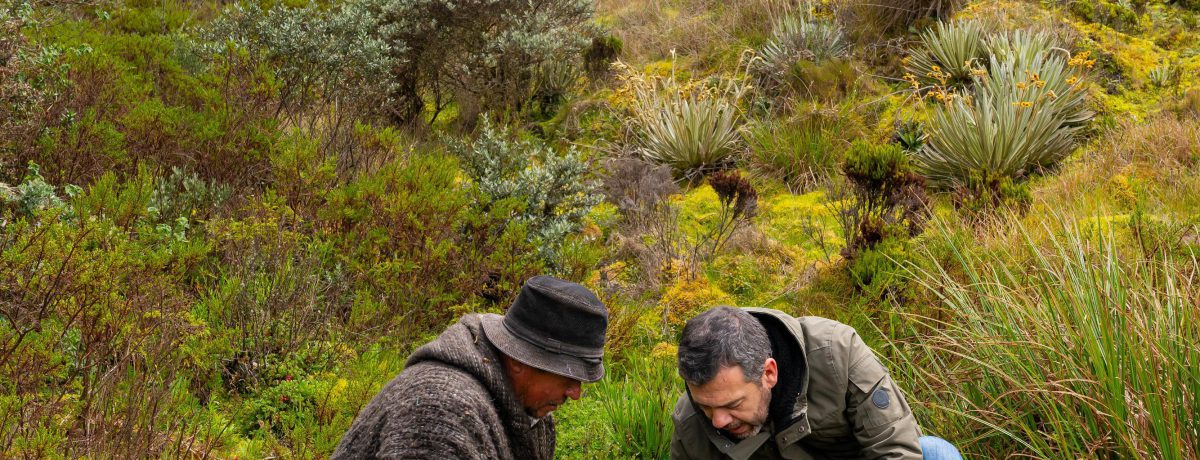 Durante su recorrido por Sumapaz, el alcalde Carlos Fernando Galán ratificó el compromiso de Bogotá con la sostenibilidad hídrica regional. Mediante el programa de Pago por Servicios Ambientales, el Distrito [&hellip;]