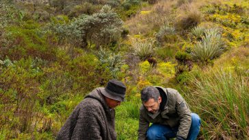 Durante su recorrido por Sumapaz, el alcalde Carlos Fernando Galán ratificó el compromiso de Bogotá con la sostenibilidad hídrica regional. Mediante el programa de Pago por Servicios Ambientales, el Distrito [&hellip;]