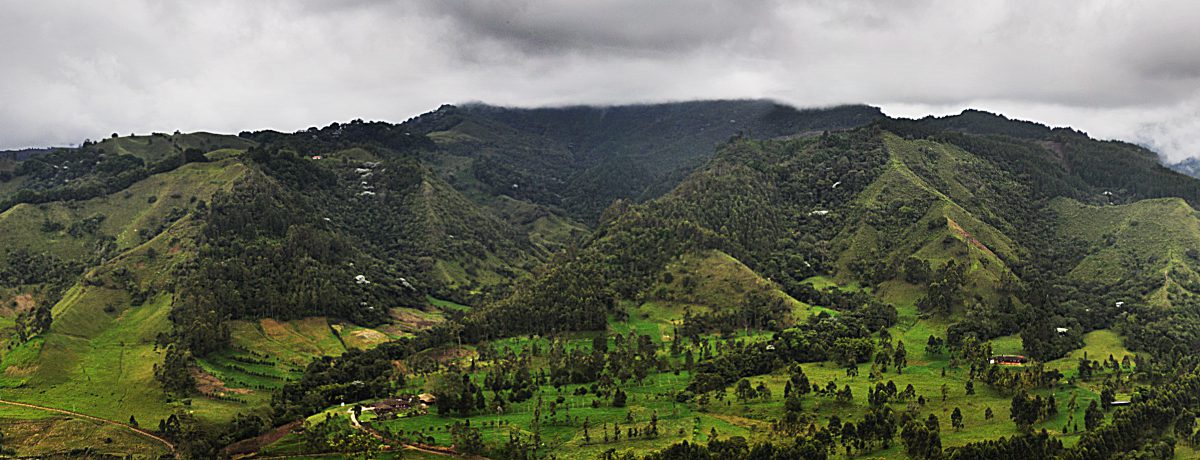Ubicado en el Quindío como puerta al Parque Los Nevados, este valle cautiva al mundo por sus palmas de cera de hasta 60 metros que emergen entre la neblina. Su [&hellip;]