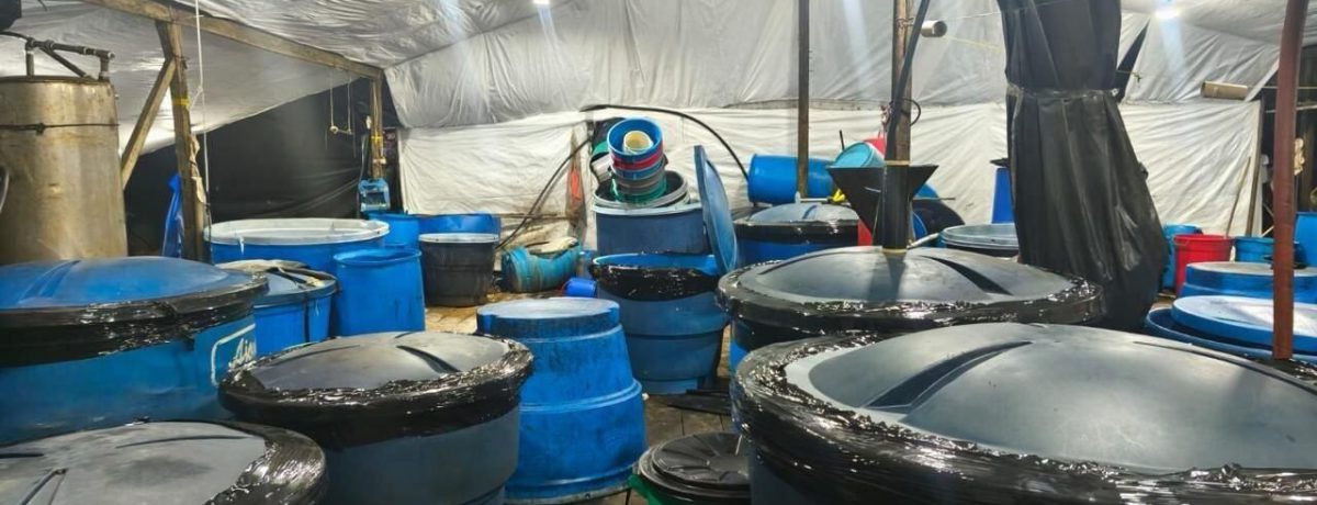 Las autoridades colombianas incautaron más de 2.600 galones de gasolina y 10 toneladas de cemento en Caquetá durante una operación conjunta contra las economías ilegales. Este cargamento, interceptado en corredores [&hellip;]